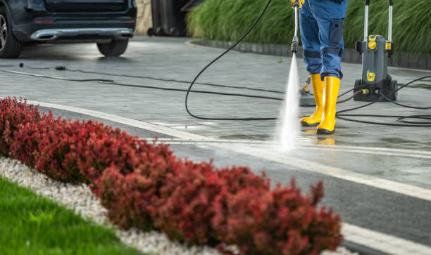 Trusted University Of California Davis, CA Pressure Washing Services Experts